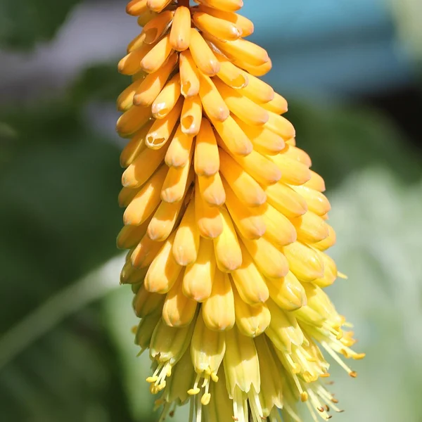 网络赌博棋牌游戏